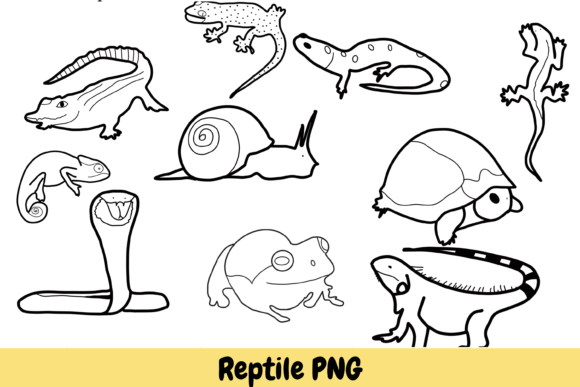Download Reptile Animal Hand Drawn PNG - Reptile Collection