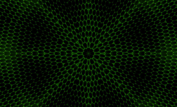Download Abstract Modern Texture Backgrounds - Backgrounds Collection