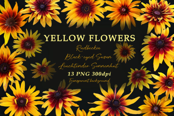 Download Yellow Flowers. Cut Elements - Flowers Collection